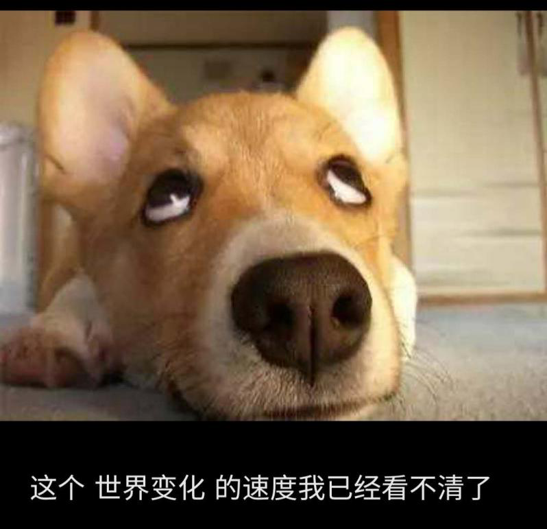 不是我不明白,这世界变化太快